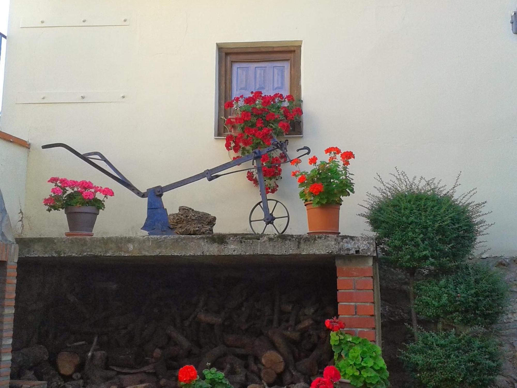 La Posada De Clotilde Cella Extérieur photo
